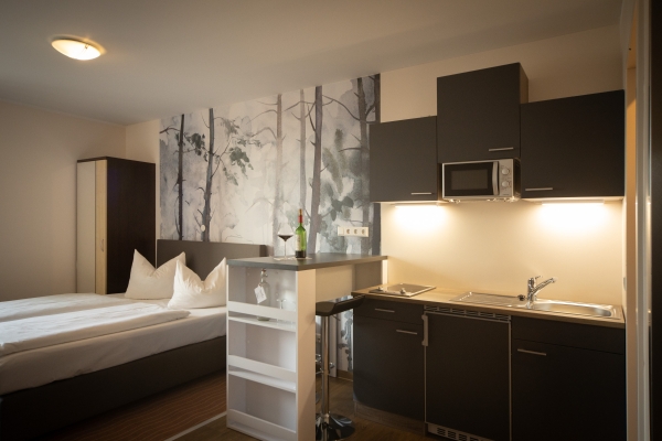 Hotel Bergwirtschaft Wilder Mann (Dresden)